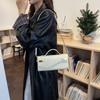 Trendy Single Shoulder Bag, Handbag, High-end Crossbody Bag