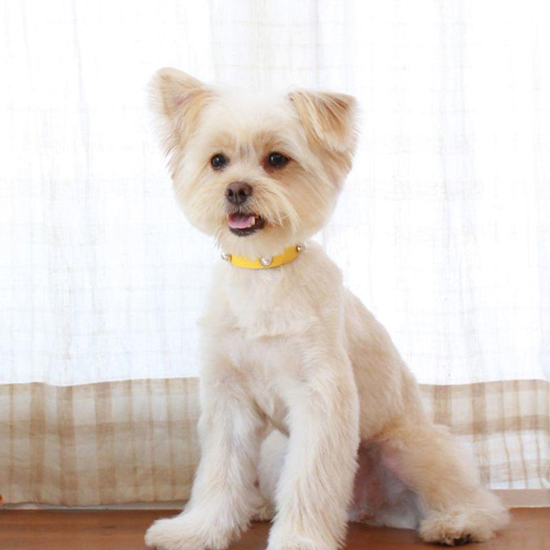 MAISON DE MIU Soft Perlenkragen_Gelb