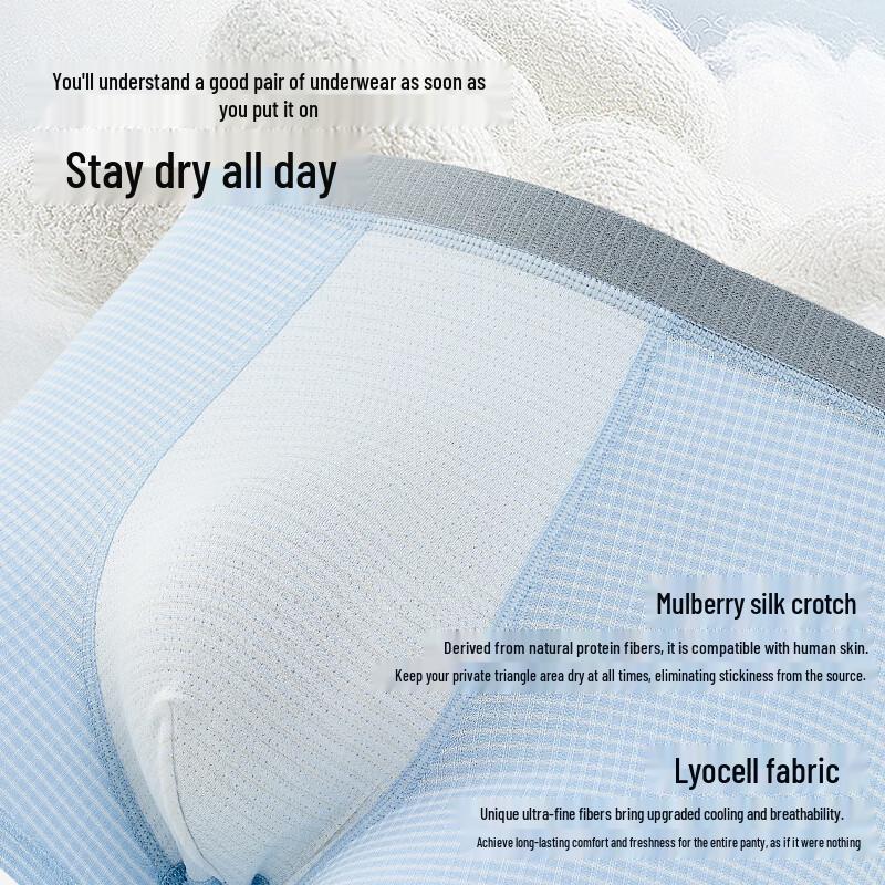 Men's Ice Silk Underwear Boxer Briefs