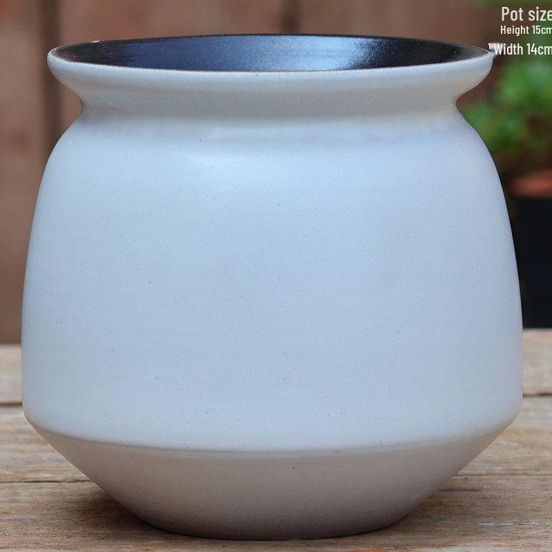 Handmade Coarse Pottery Tall Flower Pot for Succulents and Green Plants – Breathable Ceramic Jar for Bird of Paradise & Bougainvillea