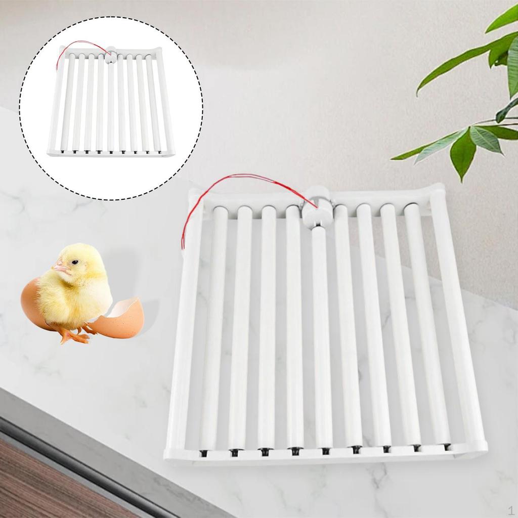 Güvercinler, Tavuklar, Hindiler ve Kazlar İçin 110V Otomatik Yumurta Kuluçka Makinesi.