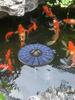 Solar Floating Pond Aerator Pond Oxygen Pump with Air Hose and Bubble Stone Bubble Oxygenator Fish Tank Oxygenator for Birdbath