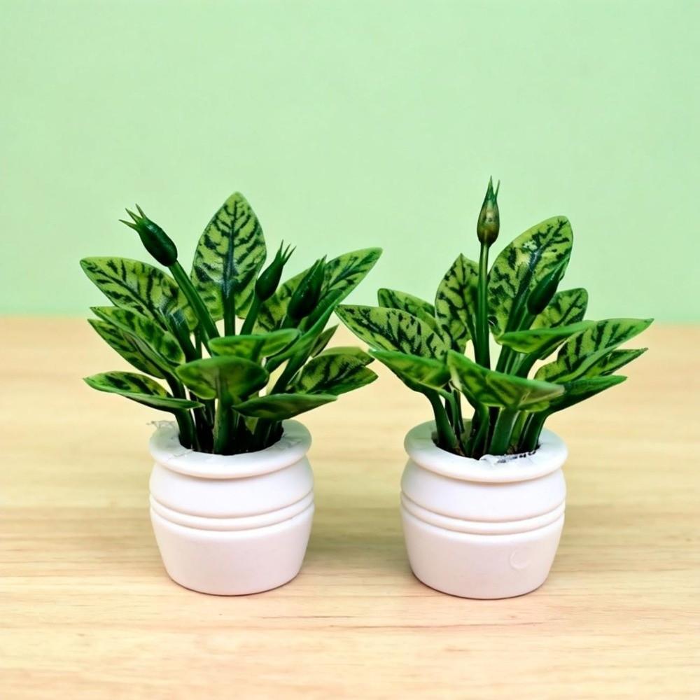 5pcs Plastic 1:12 Dollhouse Miniature Plant Green Luo Plant  Outdoor Doll House Model Accessories
