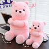 Cute Pink Teddy Bear Plush Toy For Birthday And Holiday Gifts Wholesale From Manufacturer