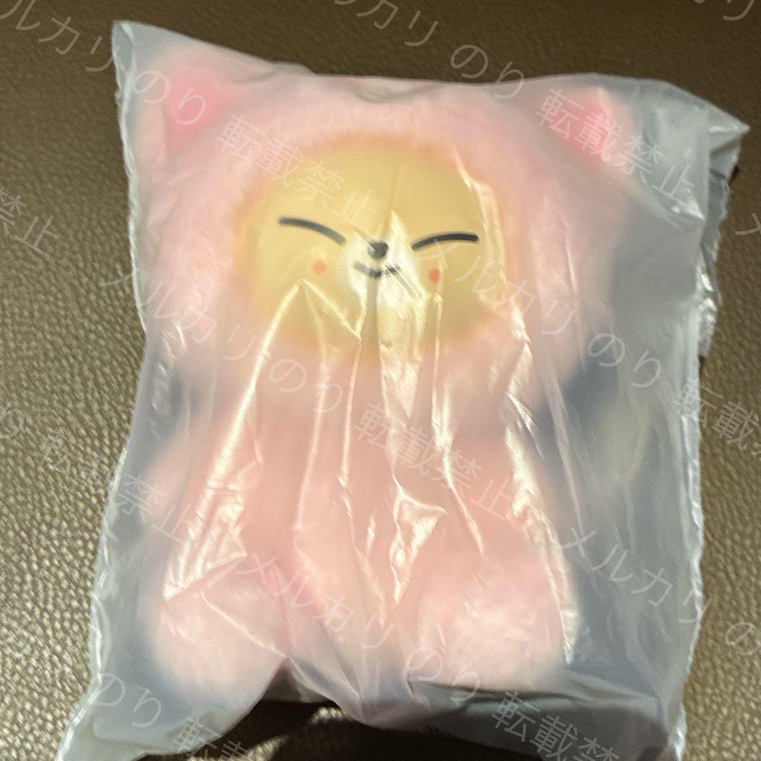 [USED] Skzoo STRAYKIDS Korea Fan Meeting Plush Toy I.N