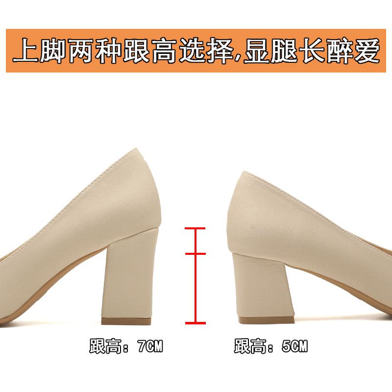 High Heels Women's Spring New Light Mouth Thick Heel Bow Single Shoes Women's Work Shoes Women