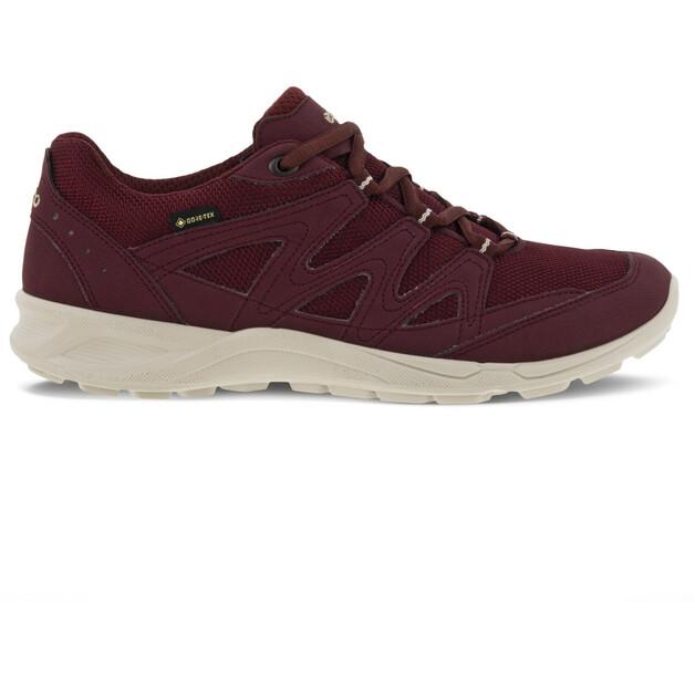 Полуботинки Ecco Terracruise LT GTX