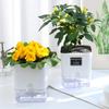 Self Watering Plant Pot With Drainage Holes High Strength Easy Care Visible Reservoir Indoor Outdoor Planter Pot Flower Vase