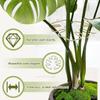 Anti-toppling Plant Stem Support No Nail Needed Multi-purpose Flower Climbing Stem Holder Vine Branch Monstera Stabilizer