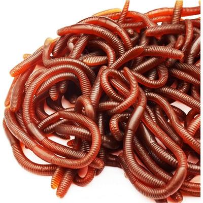 10PCS Fake Worms Fake Earthworm Faux Trick Toy Plastic Soft Stretchy Realistic Earthworm Simulated Fishing Lures Baits for Halloween DecorationGag Toy