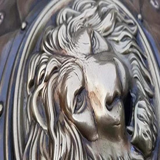 Круглый щит с лицом льва — фото 2