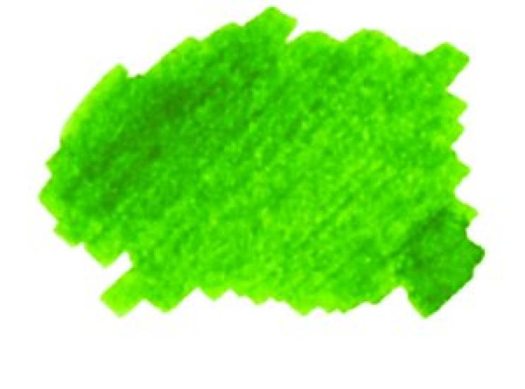 NAGASAWA Fountain Pen Ink Kobe INK Story 19 Minatogawa Lime Vol.