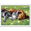 Ravensburger CreArt Sleeping Cats and Dogs Paint By Numbers for Children - Painting Arts and Crafts Kits for Ages 7 Years Up