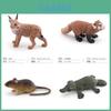 Realistic Plastic Short-tailed Bobcat Cute Red Panda Charming Platypus And Snowy Ferret Miniature Animal Figurines For Collectors And Decor