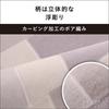 Panasonic Hot Electric Triple Insulation Energy Timer Dust Mite 2 Side Changeable Cover 2 Tatami Gray Carpet, Carpet, Structure, Saving, Function,