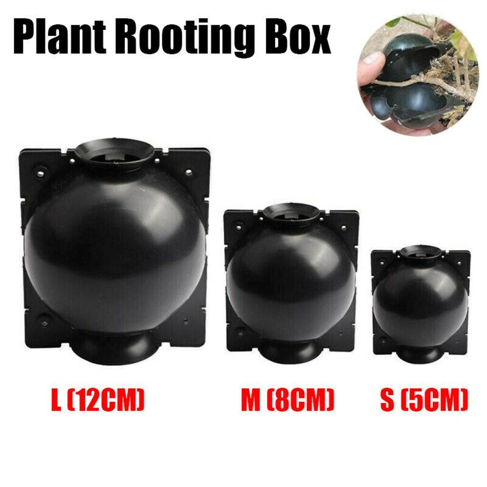 Boost Your Garden's Productivity with Propagation Ball Box Set of 6