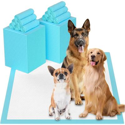 Neue, hochabsorbierende und geruchsresistente Haustier-Trainingsunterlagen - Extra große und superabsorbierende Welpenunterlagen für Haustiere - Langlebig