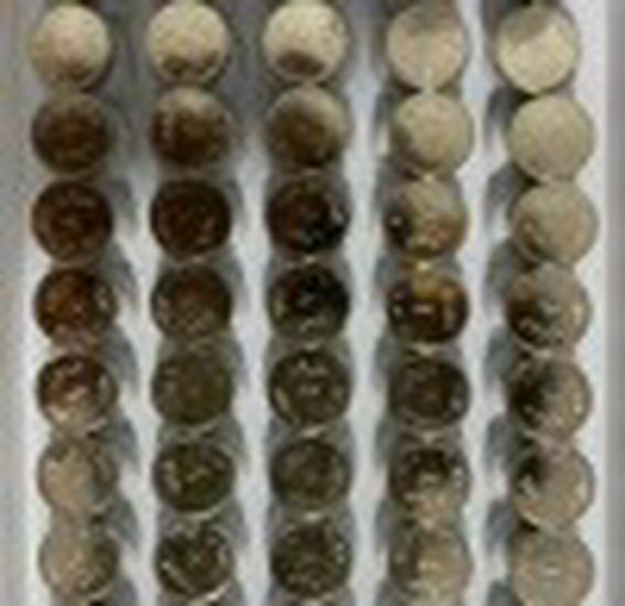 Rose Flower LED String Lights - Mini Decorative Copper Wire Lights for Christmas & Festive Glow.