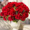 8 Pezzi Pianta di Geranio Artificiale Fiori Realistici in Seta per Esterno Resistenti ai Raggi UV Fiori di Geranio Finti per Interno Esterno Decorazione Giardino Casa