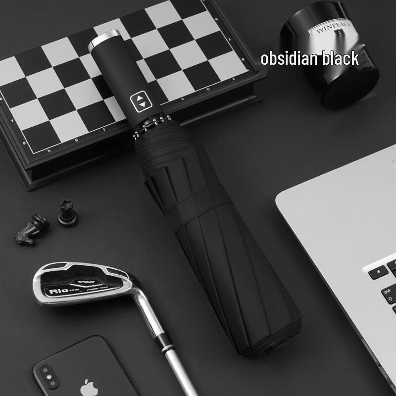 OIMG Automatic 10-Rib Compact Folding Umbrella