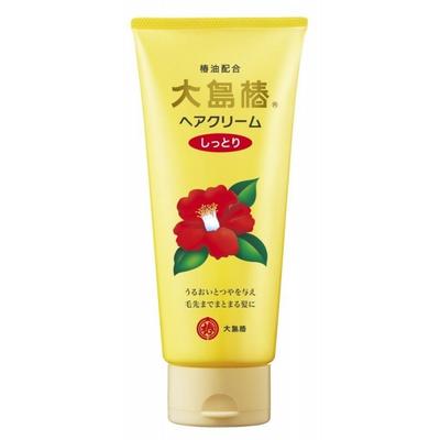Camellia Flower Hair Cream (Moisture Type) 160g