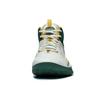 Li Ning Badfive 3 Flat Cushioning Slip Resistant Mid Top Basketball Shoes Men's White Green ABFT015-2