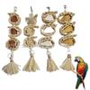 Natural Bird Chew Toys: Corn Husk & Cuttlebone for Parrots, Budgies, and Cockatiels