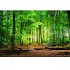Fototapet Pădure Verde Tapet 3d Peisaj Natural Tapet Sufragerie Dormitor Tapet Decor Home