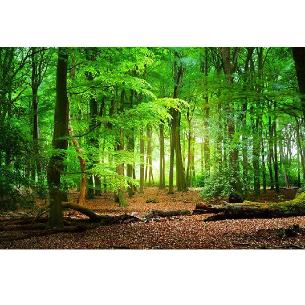 Fototapet Pădure Verde Tapet 3d Peisaj Natural Tapet Sufragerie Dormitor Tapet Decor Home