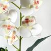 Pink Simulated Flower Butterfly Orchid Potted 5 Heads Artificial Faux Plants  Home Decor