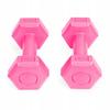 Dumbbells For Women Dumbbells 1Kg Weights 2X 0.5Kg Dumbbell Set For Exercise