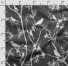 Soimoi Vogel mit Blättern-Druck, Baumwoll-Cambric, Quiltstoff, verkaufter Massenware 42 Zoll breit, mittelschwerer Baumwollstoff, Nähzubehör,