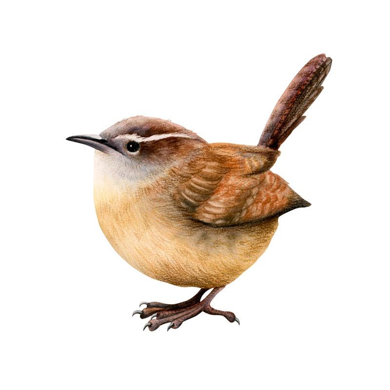 

Cartoon Cute Bird Self Adhesive Switch Wall Sticker for Bedroom Living Room Home Decor 14x15cm різнокольоровий