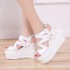 Fashion 12CM Open Toe Platform Mules Sandals  Ladies' Slippers Platform Luxury Slides Slipers Women Designer Summer Rome Slippers Platfo