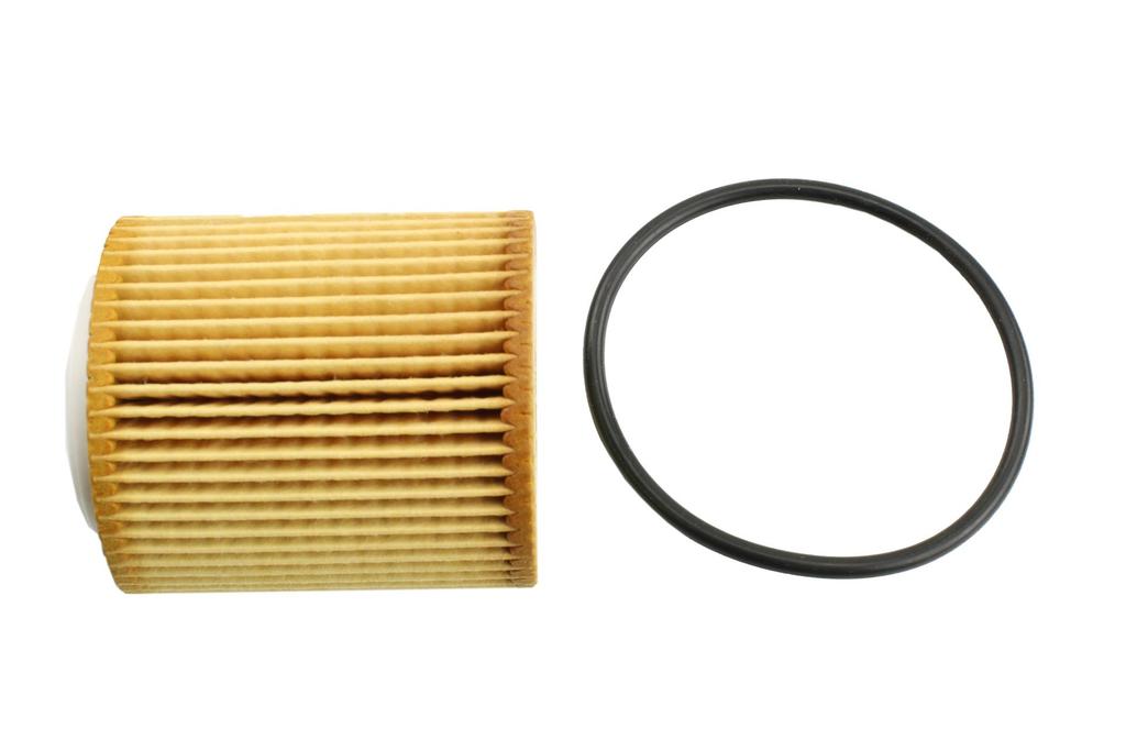 Ft38100 Fast Oil Filter