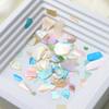 Friendly Rainbows Shell Nail Decoration 6 Multicolor Options Waterproof Manicure Embellishments For Home Salon DIY Enthusiasts
