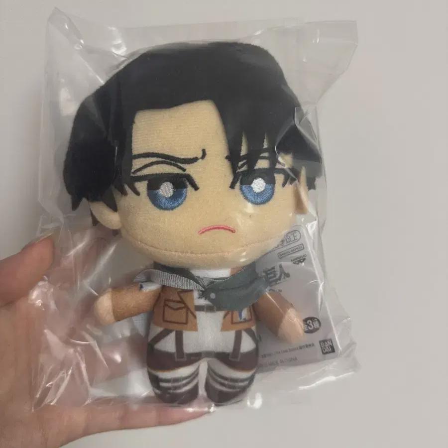 

Attack On Titan Levi Tomonui