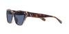 Sunglasses HC8370F CH660 BEIGE SOLID Lens 56 [Coach] TORTOISE/TRANSPARENT Frame/BLUE