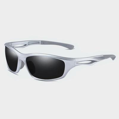 NeoRetro 8541 C3 SILVER Polarized Sunglasses