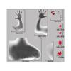 Halloween Wall Decal Cling Halloween Window Clings Static Clings for Glass Window Mirror Theme Party Reusable Decors