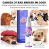 Pet Teeth Breath Cleaning Freshener Dog Cat Spray Care Cleaner 60ML