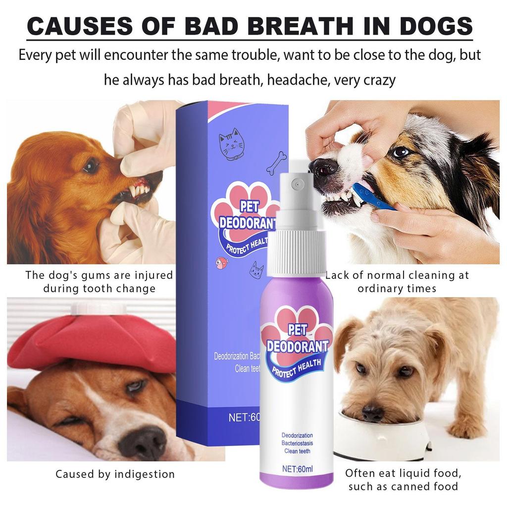 Pet Teeth Breath Cleaning Freshener Dog Cat Spray Care Cleaner 60ML