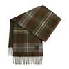 New Fashion Plaid 11 Scarf Women's Autumn and Winter Warm Tassel Shawl Versatile Student Scarf Men