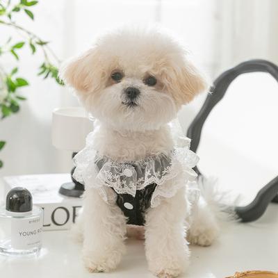 Sexy Lace Traction Vest Breathable Mesh Dog Clothing Spring Summer Thin Puppy Small Dog Pet Clothing