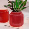 Self Watering Pots for Indoor Plants Clear Plastic Wicking Flower Pot Modern Decorative Planter