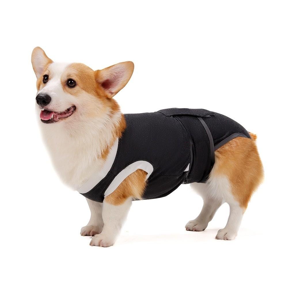Anti-Licking Pet Physiological Pants Adjustable Dog Recovery Suit  Daily Wear