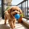 Squeaky Dog Ball Raised Texture Chew Toy Dogs Teeth Cleaning Bite-resistant Relieves Boredom And Anxiety for Puppy Teething Fetch Game Wear-resistant