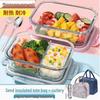 Glass Lunch Box Set