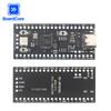 RP2040 Core Board TYPE-C for Raspberry Pi Core Board 4MB /16MB RP2 Raspberry Pi Pico Micropython