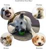 Dog Puzzle Toys Ball Nontoxic Durable Dog IQ Chew Toys for Puppy Small Large Dog Teeth Cleaning/Chewing/Playing
